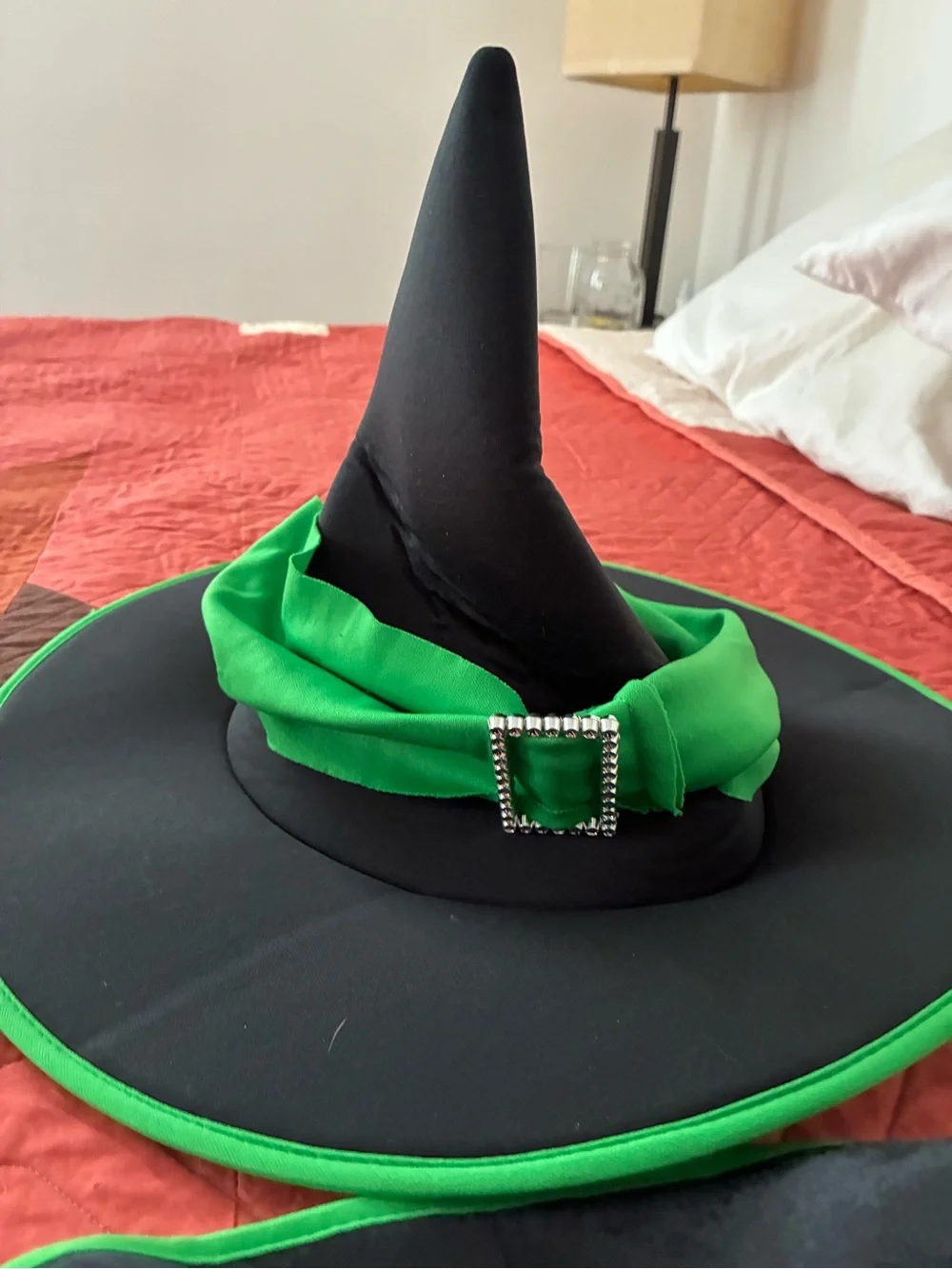 Spirit Black and Green Witch Costume with Pointed Hat